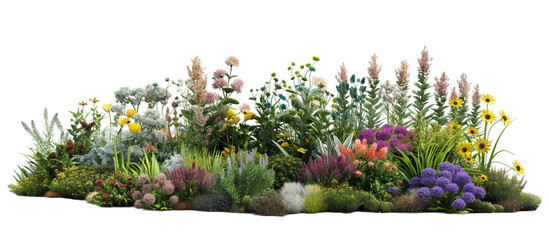 grass and flowers transparent background PNG