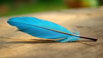 a blue feather on a wood surface