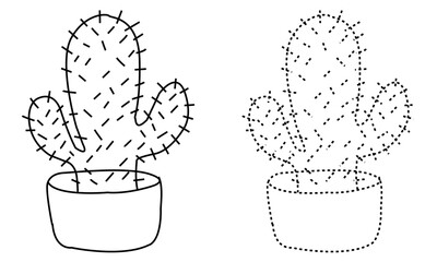 Cactus with bowl