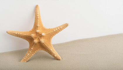 Close Up of a Starfish on a white Background with free space for text