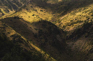 mountain slopes with trees beautifully illuminated by sunset sunlight in summer