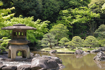 Naklejka premium 東京散歩 旧古河庭園バラの季節