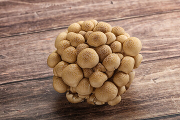 Raw asiam delicacy mushroom Shimeji - 797486933