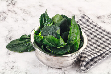 Ripe green spinach leaves heap