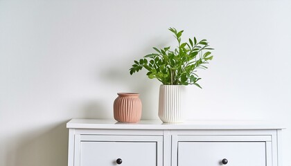 plant in the interior, modern vase and interior plant pot on sleek white furniture against a clean white background