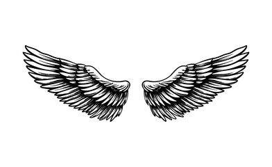 wing pair engraving black and white outline