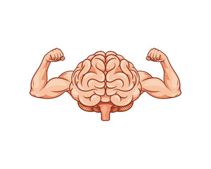 Illustration of brain shows biceps, brain power of intellect.