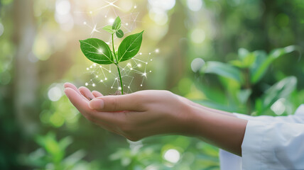 A hand holding a plant growing from a medical symbol, signifying healthcare promoting growth