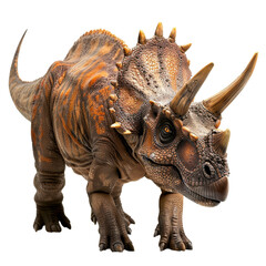 Fototapeta premium triceratops dinosaur isolated on transparent background