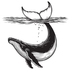 Line art of whale swimming under the water vector - obrazy, fototapety, plakaty