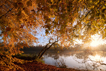 Orange verfärbtes Laub und goldene Herbststimmung am Fluss.