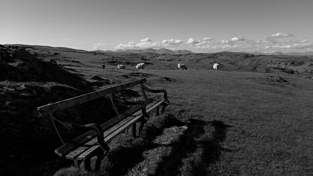 Rear of hoad hill ,(monument)ulverston,cumbria -bench sheep in the middle ground,hills in background
