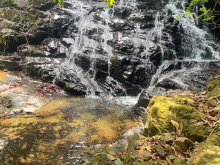 waterfall in the forest