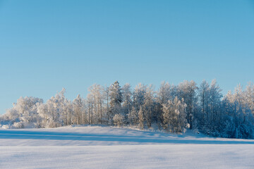 Winter time in the cultural landscape of Toten, Norway, in January. Image shot in the area between Kolbu Church and Gardlausstua.