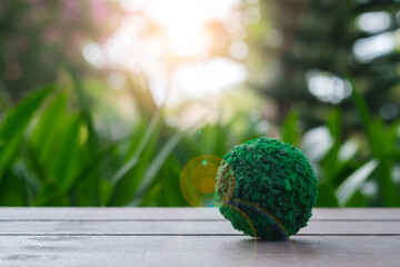 green grass ball, a healthy ecology to a new generation. Healthy ecology of the planet Earth. A...