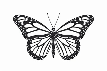 Vector Butterfly Transformation: Symmetrical Minimalist Design