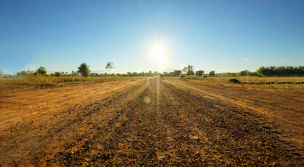 sunset over the field