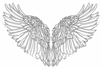 Fototapeta premium Raven Wings Black Line Art: Detailed Feathers-Mystery & Intelligence