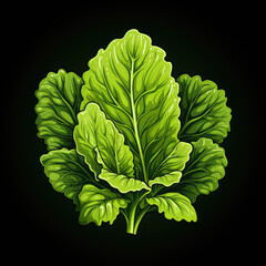 a picture of a green leaf of lettuce