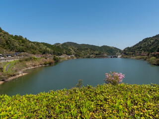 Fototapeta premium 展望台から見る滝畑ダムの風景