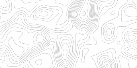 White wave paper curved reliefs abstract background. The topographic map contour in lines isolated. Abstract white topographic map background with lines. Background of the topography map. - obrazy, fototapety, plakaty