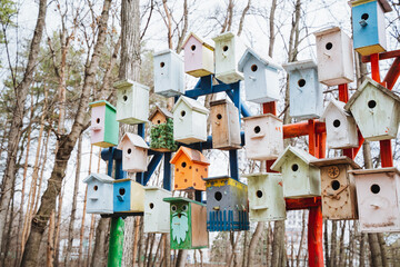 Artistic bird houses adorn tree branches in a colorful display