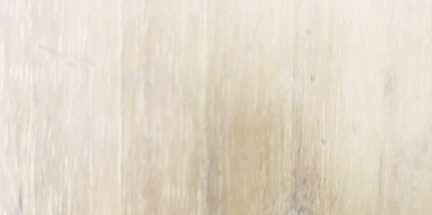 White wood old background texture. White Wood texture background. Timber dark wood emerald wooden background with gray shadow border grunge texture design and wallpaper .