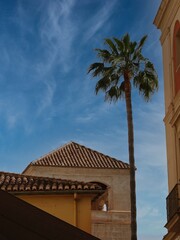 Vista de S. Agust&iacute;n