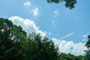夏の空に面白い雲見つけた