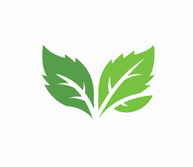 a green leaf logo on a white background