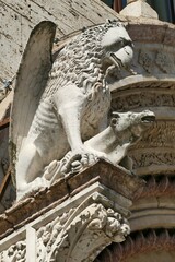 Statue représentant un griffon terrassant un animal sur la façade du Palazzo dei Priori à Pérouse