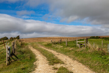Fototapeta na wymiar A farm landscape on a September day, with a newly plowed field under a blue sky