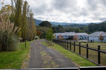 Mount Macedon Victoria Melbourne Autumn Leave マウントマセドン　メルボルン　オーストラリア　紅葉