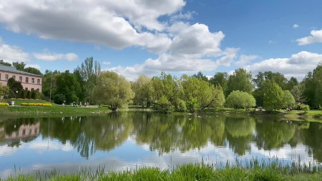 A small lake, green trees and blue sky with clouds in the background