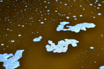 Jug and frock in the river water near the shore, reflection of the sun