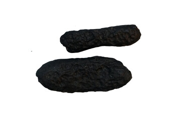 Flat bars of tektites natural rock stone meteorite specimen isolated on white background.          ...