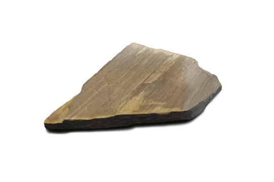 A piece of phyllite rock specimen isolated on white background. metamorphic rock.