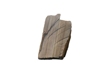 Phyllite metamorphic rock specimen isolated on white background.