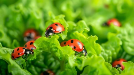 Biocontrol Agents in Organic Gardening