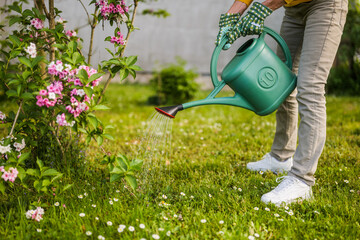 Close up image of senior woman watering plants in her garden.	