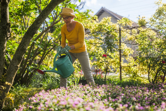 Happy senior woman enjoys watering plants in her garden.	
