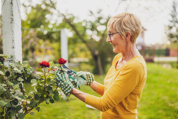 Portrait of happy senior woman gardening. She is pruning flowers.	