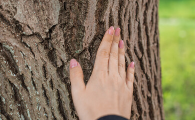 Hands on a tree. Felling nature energy, connection with a soul. Spiritual practice