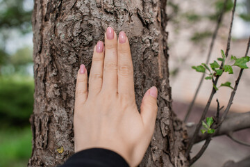 Hands on a tree. Felling nature energy, connection with a soul. Spiritual practice