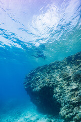 圧倒的に大規模な素晴らしく美しいサンゴ礁とスキンダイバーとボートのシルエット。

沖縄県島尻郡座間味村阿嘉島の外地島沖にて。
2021年4月28日水中撮影。


Overwhelmingly large and wonderfully beautiful coral reefs and silhouettes of skin divers and boats.

Off Fukaji Island