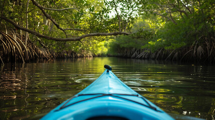 Fototapeta premium Paint a picture of serenity as you glide silently through a tranquil mangrove swamp,