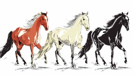 Vector illustration of horse gaits. Hand drawn style