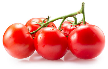 fresh tomatoes on a branch isolated on the white background. Clipping path
