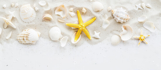 Light background with sand, shells and starfish
