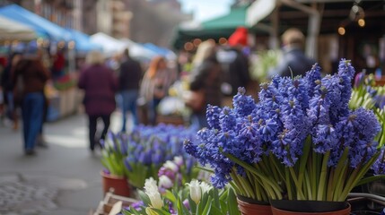 Picture a bustling street market, where the star attraction is an array of potted blue violet hyacinths, heralding the arrival of spring. - obrazy, fototapety, plakaty